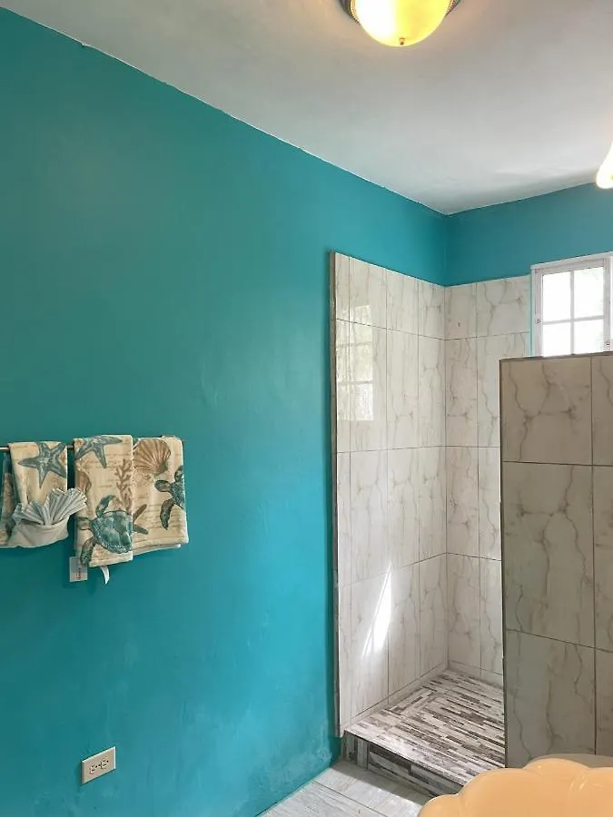 Yanceylargo Estate - Newly Renovated 7Br Beautiful Two-Story W Gorgeous Mountain View Villa Montego Bay 0*,  Jamaika