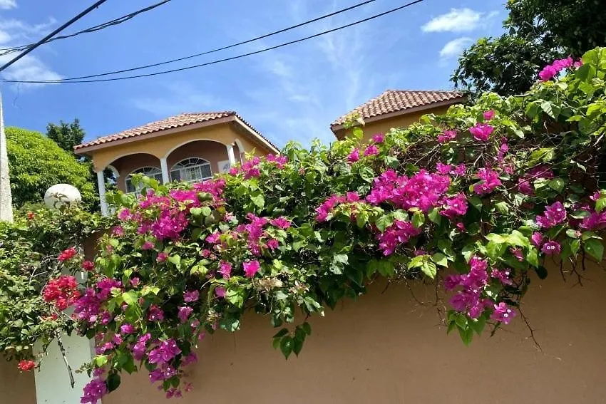 Yanceylargo Estate - Newly Renovated 7Br Beautiful Two-Story W Gorgeous Mountain View Villa Montego Bay