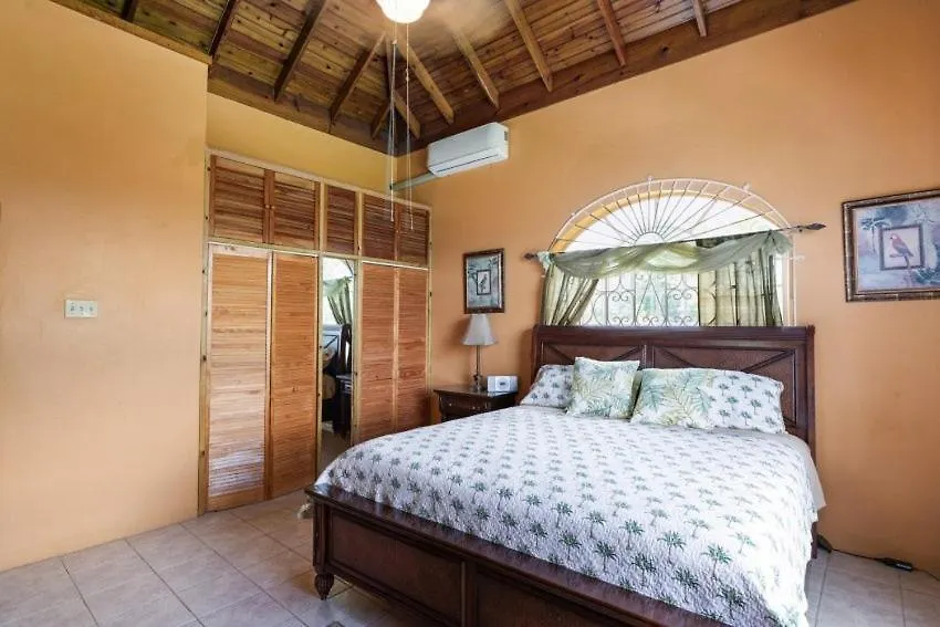 Yanceylargo Estate - Newly Renovated 7Br Beautiful Two-Story W Gorgeous Mountain View Villa Montego Bay