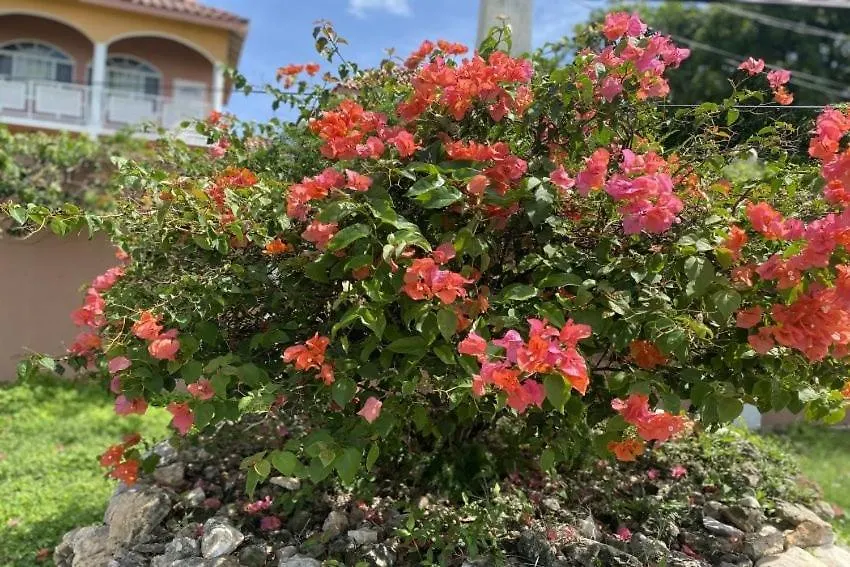 Yanceylargo Estate - Newly Renovated 7Br Beautiful Two-Story W Gorgeous Mountain View Villa Montego Bay Jamaica