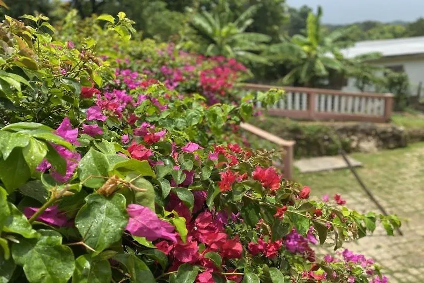 Yanceylargo Estate - Newly Renovated 7Br Beautiful Two-Story W Gorgeous Mountain View Villa Montego Bay 0*,  Jamaica