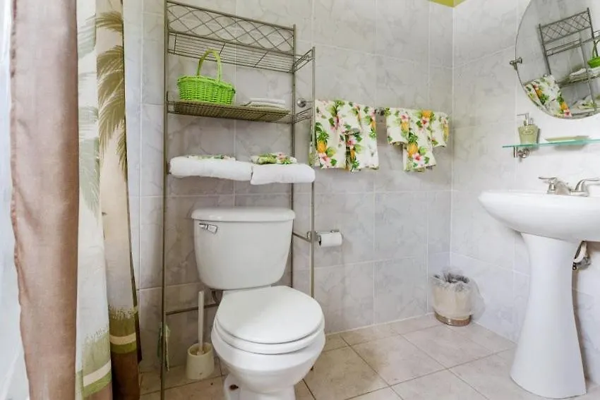 Yanceylargo Estate - Newly Renovated 7Br Beautiful Two-Story W Gorgeous Mountain View Villa Montego Bay