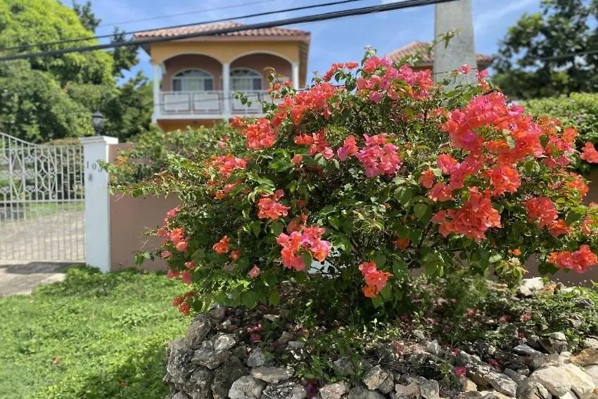 Yanceylargo Estate - Newly Renovated 7Br Beautiful Two-Story W Gorgeous Mountain View Villa Montego Bay