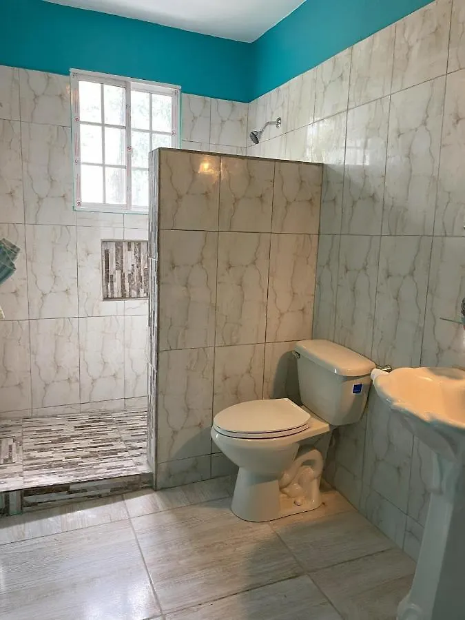 Yanceylargo Estate - Newly Renovated 7Br Beautiful Two-Story W Gorgeous Mountain View Villa Montego Bay 0*,